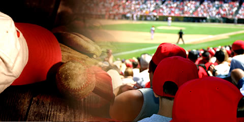 Get Adobe Flash player